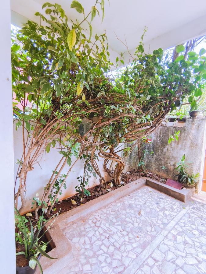 Nanda Gokula Homestay 黎明之村 外观 照片